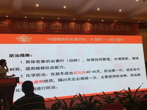 創(chuàng)新共贏 2018檳榔產(chǎn)業(yè)技術(shù)研討交流會助力技術(shù)推廣與服務(wù)升級